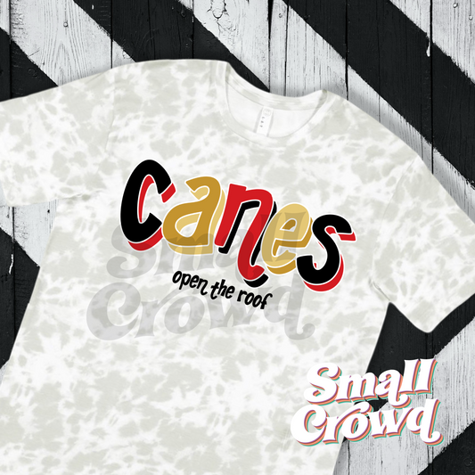 Canes OTR Double Doodle Tee - haze tie dye
