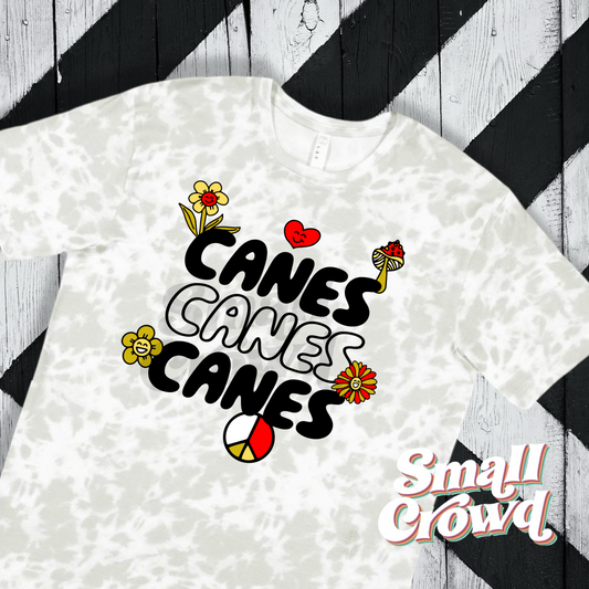 Jonesboro Hurricane Y2K girly Tee - haze tie dye