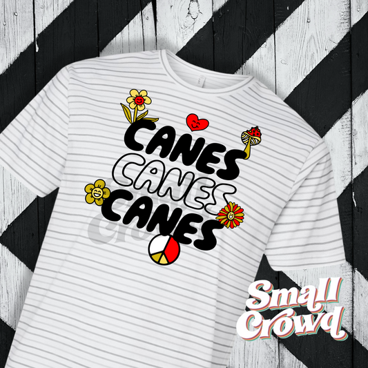 Jonesboro Hurricane Y2K girly Tee - shadow stripe